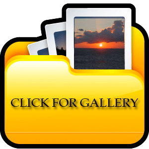 Computer Department Gallery